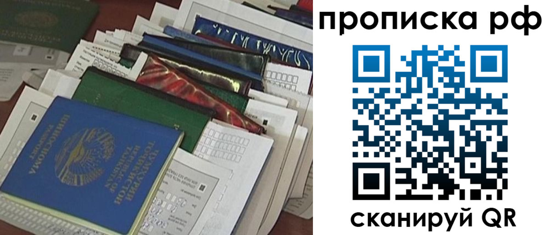 прописка в Димитровграде